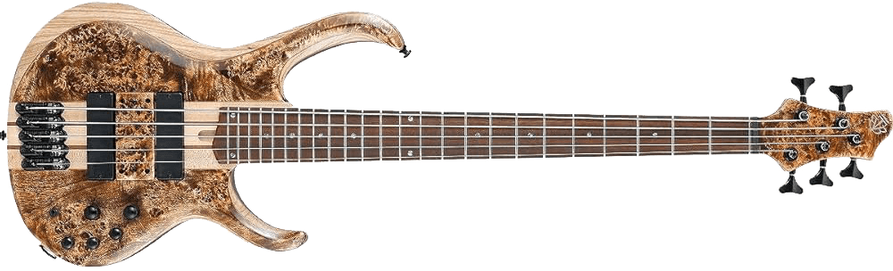 Bass