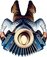 Acordeon