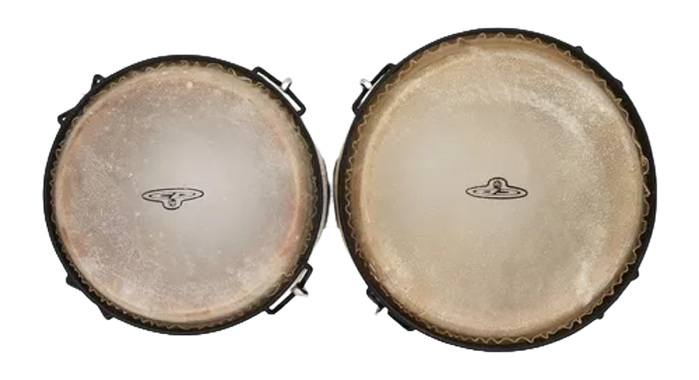 Percusión