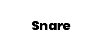 Snare