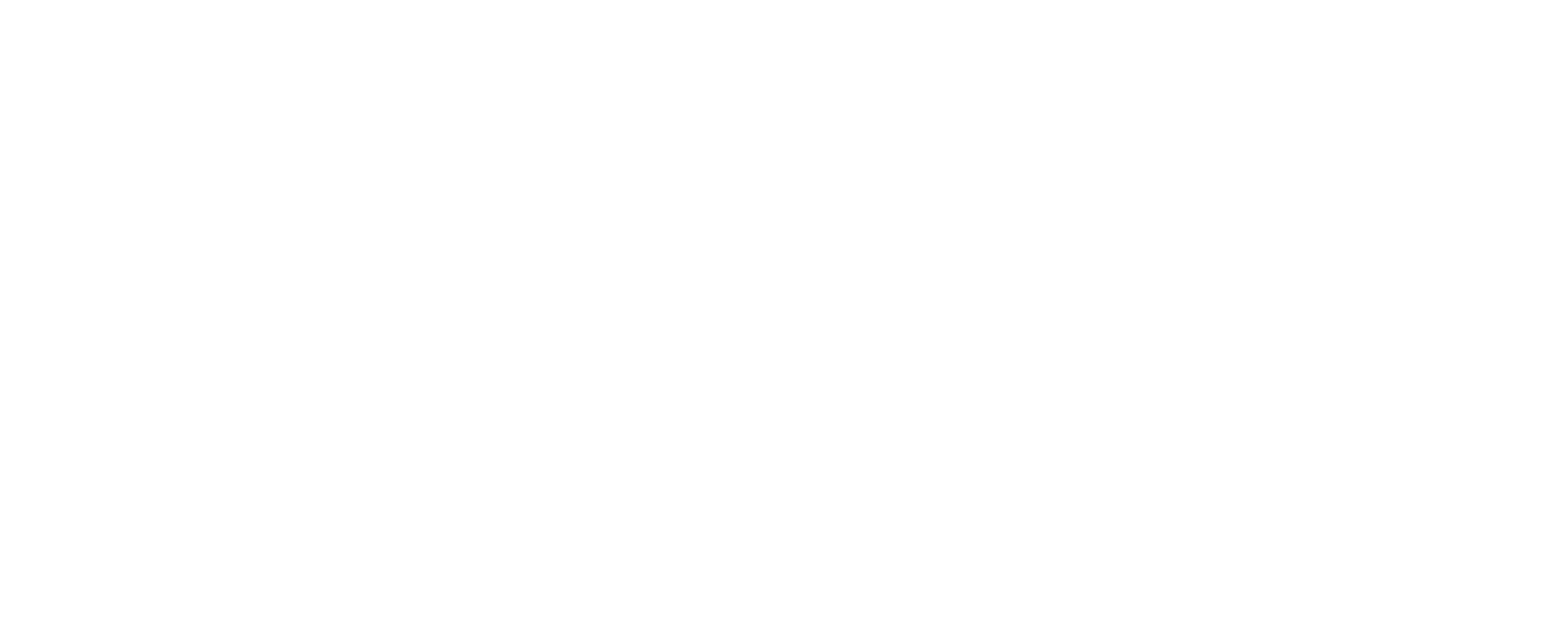 León Sonido Virtual